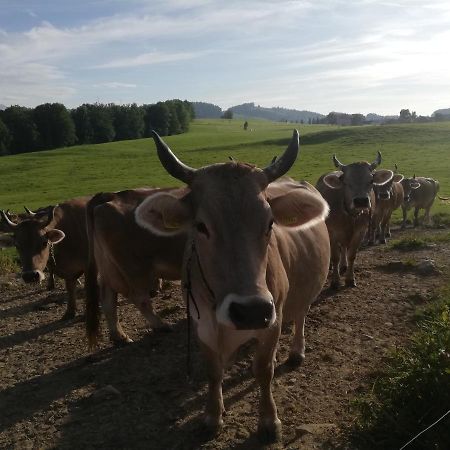 Appartamento Billenberghof St. Gallen Esterno foto