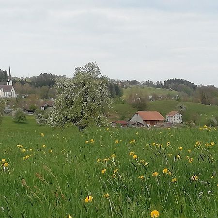 Appartamento Billenberghof St. Gallen Esterno foto