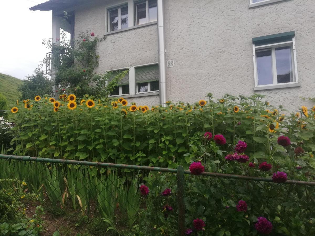 Appartamento Billenberghof St. Gallen Esterno foto